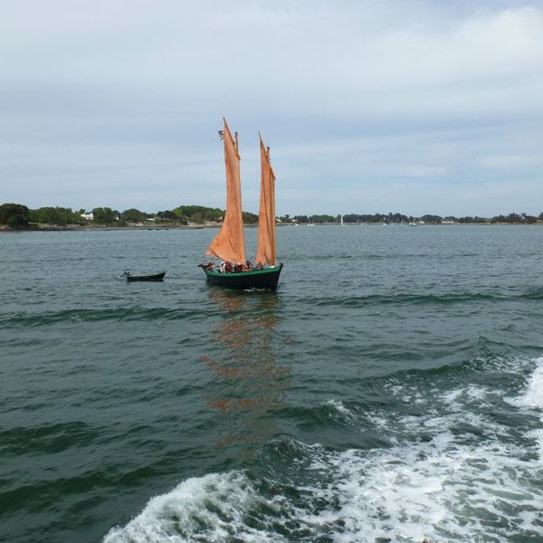 navigation-golfe-morbihan