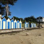 Grande plage de l'Iles aux Moines dans le Golfe du Morbihan