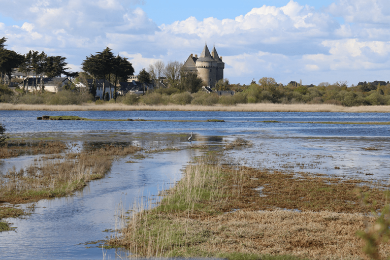 marais-dune-suscinio