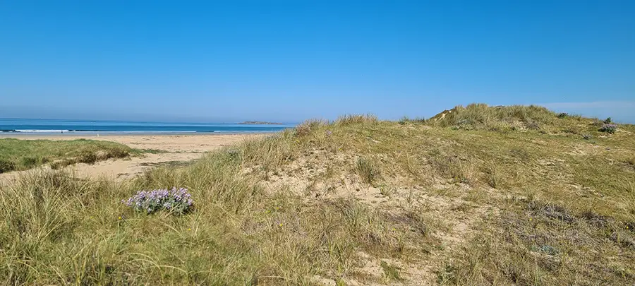 Dunes à Erdeven